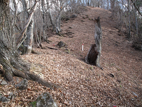 20171116hike (113)